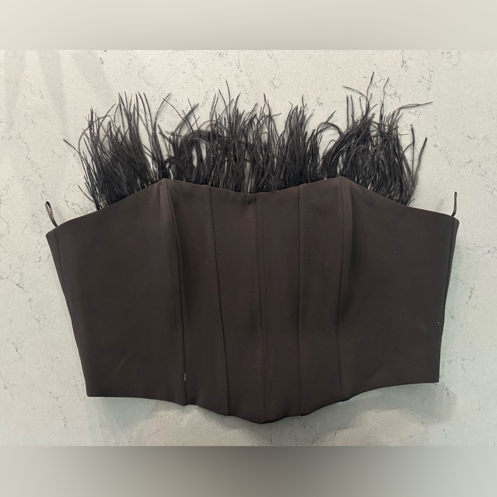 Brand new Zara black corset
